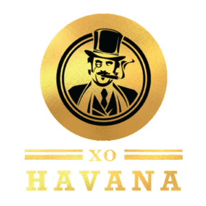 xo havaa logo
